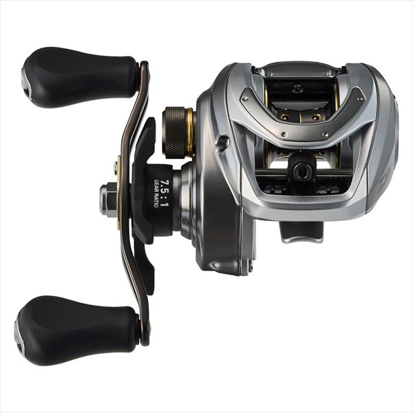 Daiwa 24 Bass X 100H (Right Handle)