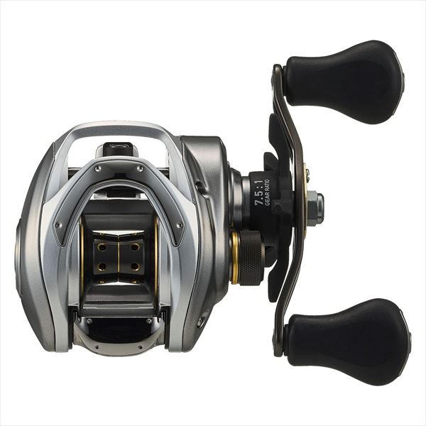 Daiwa 24 Bass X 100H (Right Handle)