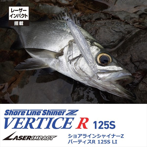 Daiwa Seabass Lure Shoreline Shiner-Z Bartis R Laser impact 125S LI Chart Head Mullet