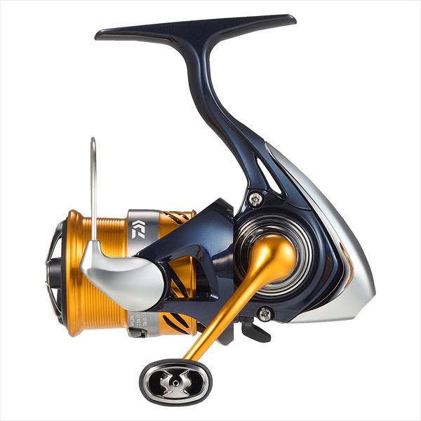 Daiwa 24 Revros LT1000S