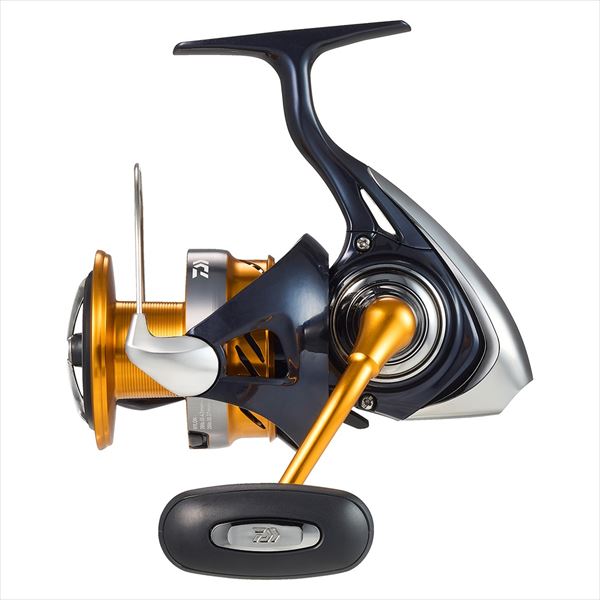 Daiwa 24 Revros LT6000D-H