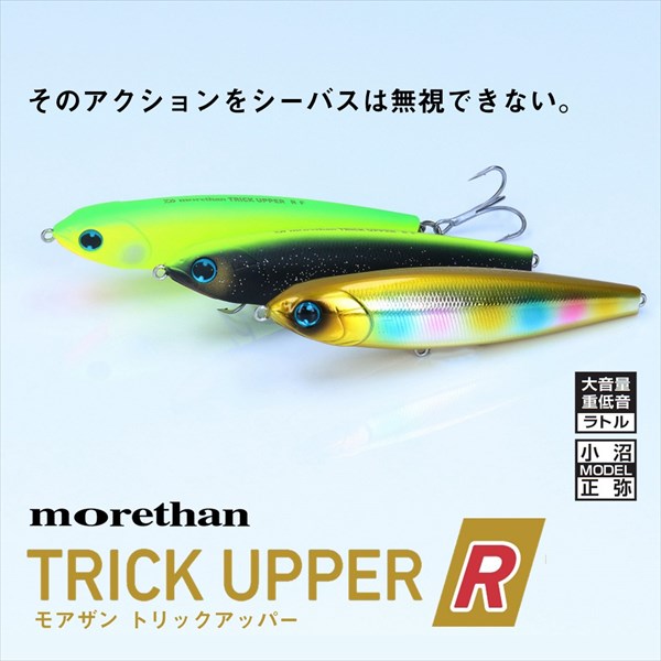 Daiwa Seabass Lure MT Trick Abappa-R65F W Gold Rainbow