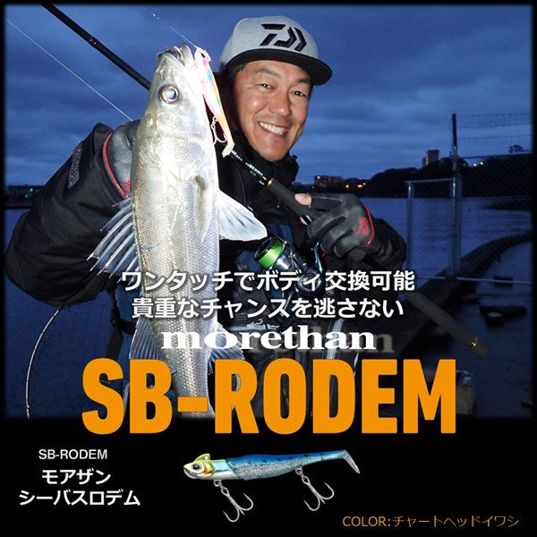 Daiwa Worm Morethan Seabass Rodem 14G Chart Head Sardine