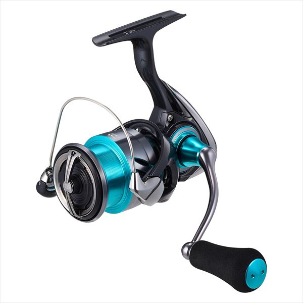 Daiwa 24 Emeraldas-X LT2500-XH