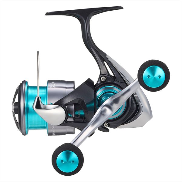 Daiwa 24 Emeraldas-X LT2500-DH