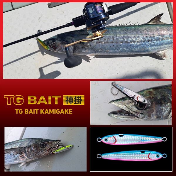 Daiwa Metal Jig TG Bait Kamigake 80g PH Green Gold