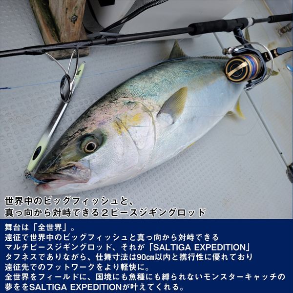 Daiwa Offshore Rod Saltiga J Expedition 50S-6 (Spinning 2 piece)