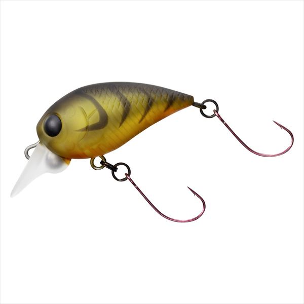 Daiwa Hazecra MR Clear Gold Stripe Shrimp