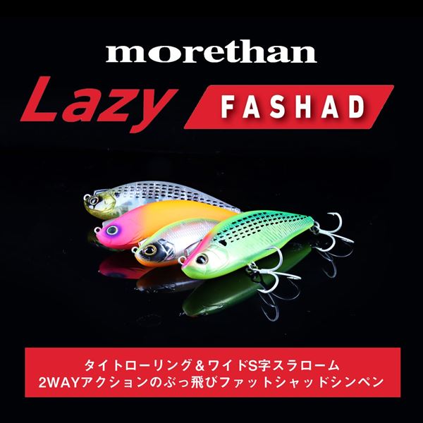 Daiwa Seabass Lure Morethan Lazy Fashad 90S Chart Head Inakko