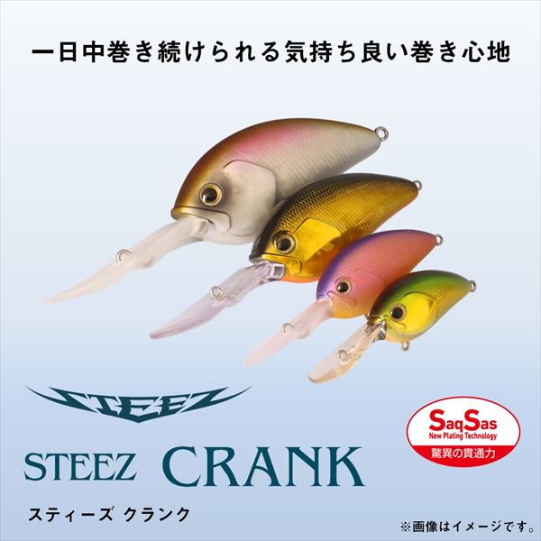 Daiwa Bass Lure Steez Crank 200 Matt Holo Wakasagi