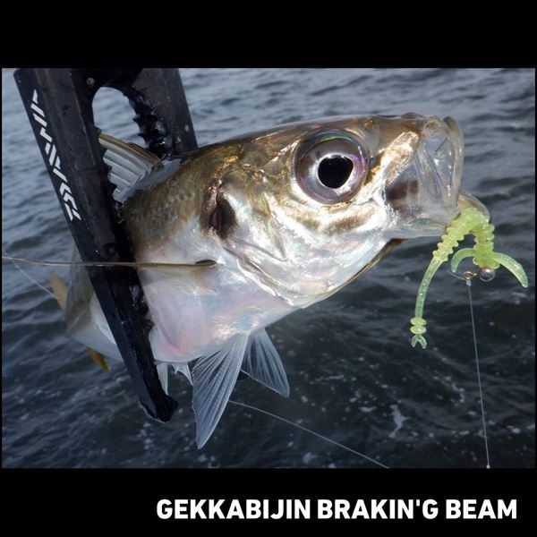 Daiwa Gekkabijin Brakin'g Beam 2.0inch Chirimenjako