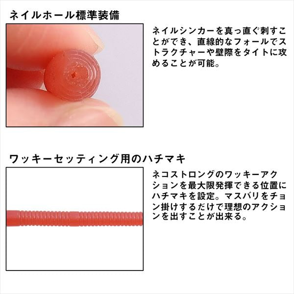 Daiwa Worm Steez Neko Straight Long 9inch Aurora Earthworm