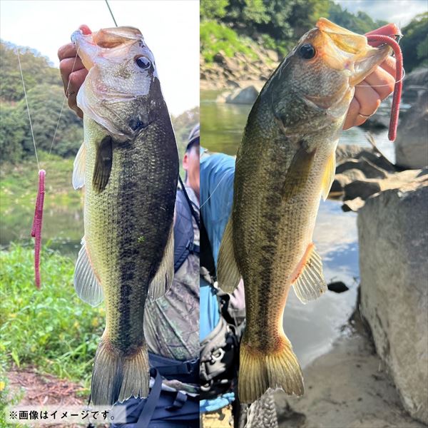 Daiwa Worm Steez Neko Straight Long 9inch Real Earthworm