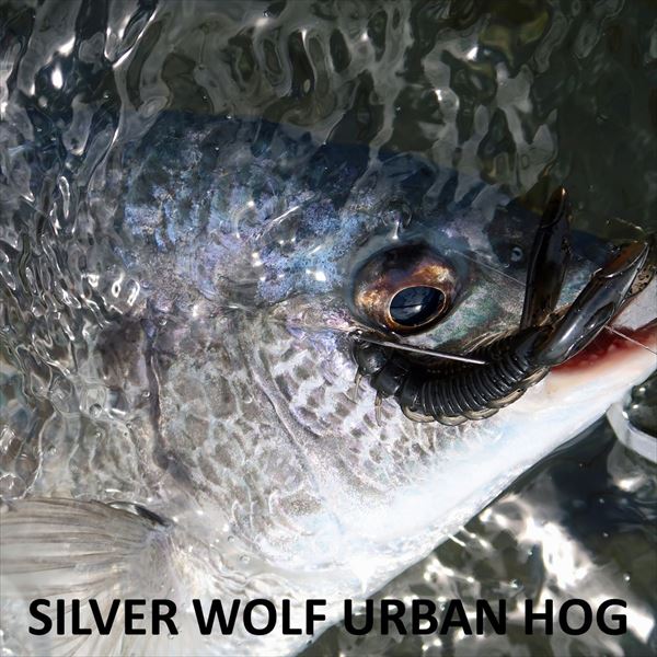 Daiwa Silver Wolf Urban Hog 2.9inch Green Pumpkin