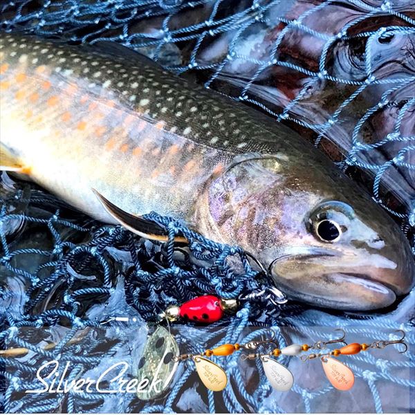 Daiwa Silver Creek Spinner 4.0 Green Gold