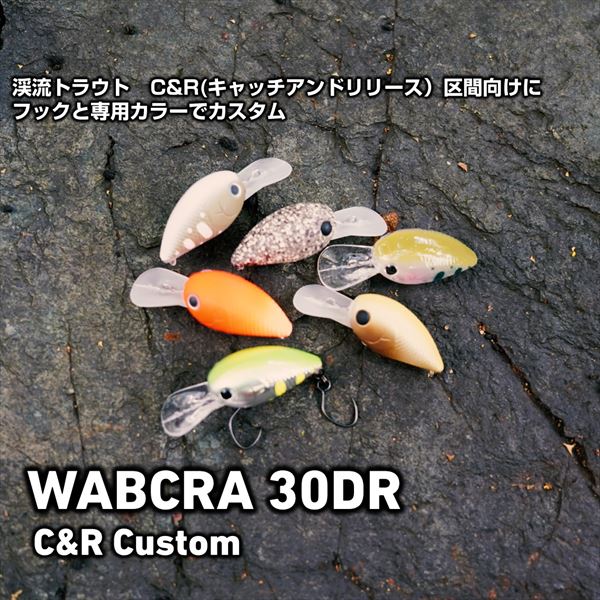 Daiwa Trout Plug Wabcra 30DR C&R Custom Chart Yamame Orangeberry