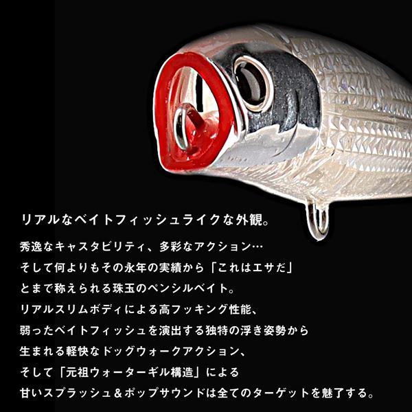 Daiwa Seabass Lure Morethan Salt Pencil-F 125F-HD-LI LI Nightless castle