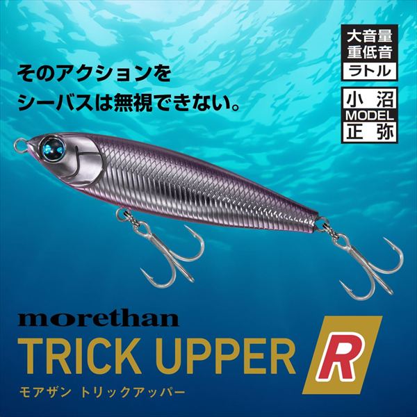 Daiwa Seabass Lure Morethan Trick Upper R 130F Chart Back Borne
