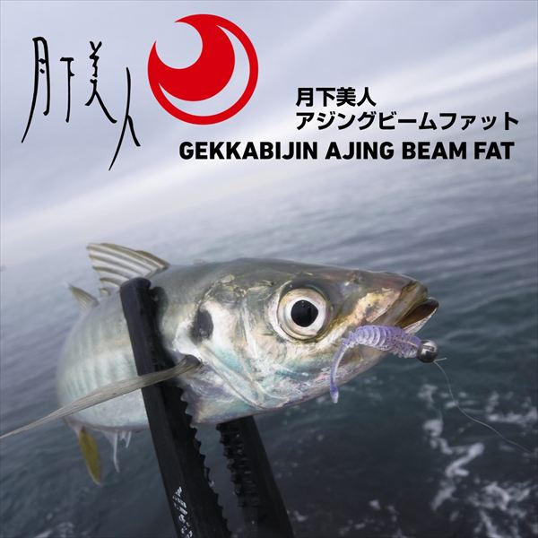 Daiwa Worm Gekkabijin Ajing Beam Fat 1.5inch Mixed Dot UV