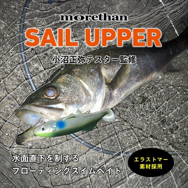 Daiwa Worm Morethan Sail Upper 120F Bora