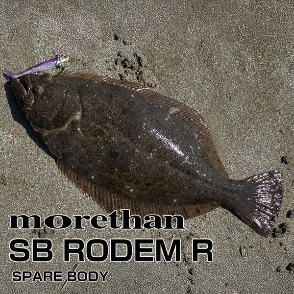 Daiwa Worm Morethan SB Rodem R Upper Spare Body SG Haku