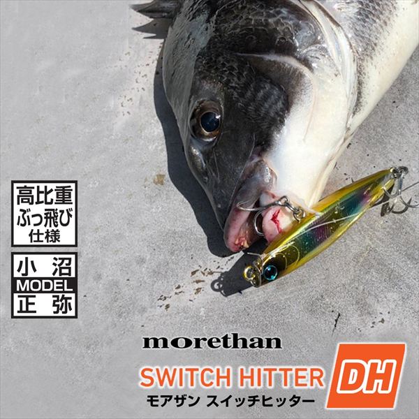 Daiwa Seabass Lure Morethan Switch Hitter DH 59S Gold Glow Inakko