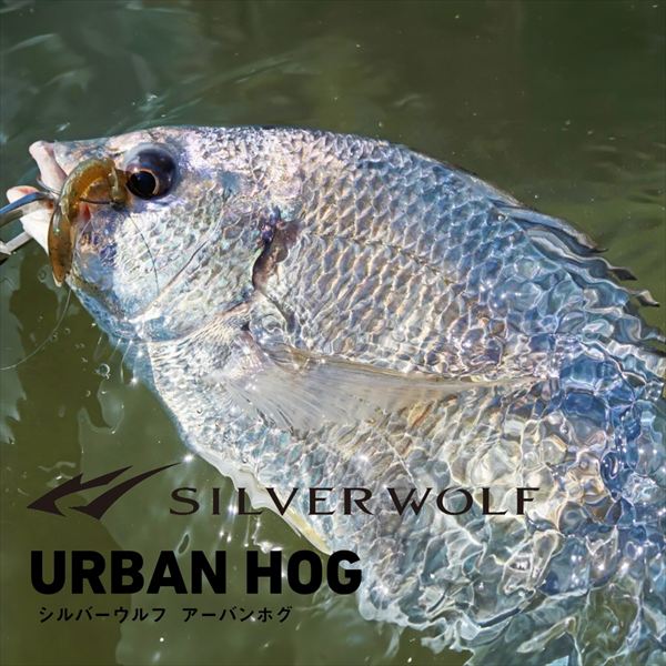 Daiwa Worm Silver Wolf Urban Hog 2.9inch Green Pumpkin Glow Gold
