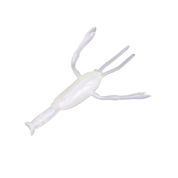 Dstyle Worm Ebison Albino Shrimp