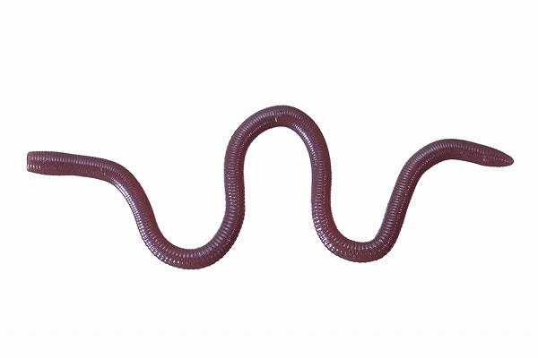 O.S.P Worm MMZ Deka W050 Earthworm