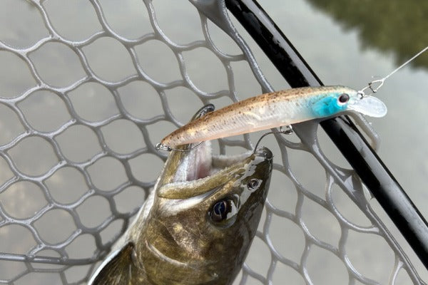 O.S.P Trout Plug Durga 73 Area F C48 Doradono-suke