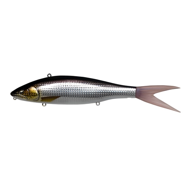 Fish Arrow Seabass Lure VT-Jack 230 #08 Konosiro