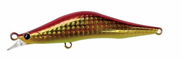 Blaze eye Seabass Lure Evoroots 99DS #62 Red Lotus Chartberry