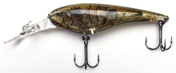 Imakatsu Bass Lure Imakatsu Shad IS Wasp 55 3D Realism #832 3D Mihara Mud Giant Shrimp
