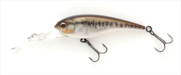 Imakatsu Bass Lure Imakatsu Shad IS Wasp 60 Cut Fast 3D Realism #720 Ultra Nonkey