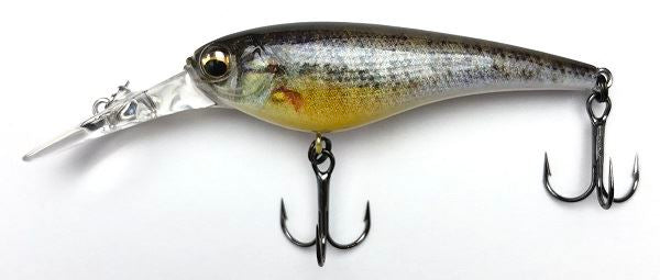 Imakatsu Bass Lure Imakatsu Shad IS Wasp 50 3D Realism #749 3D Ghost Child Gil
