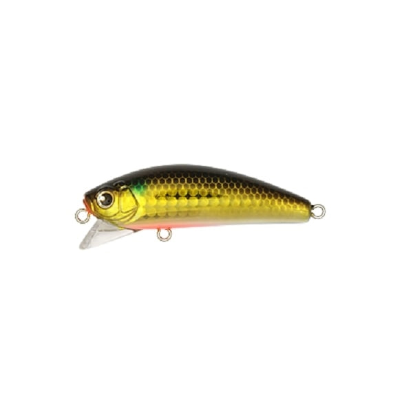 Longin Seabass Lure Wakey Boo 60mm #071 Gold Bora (lens)