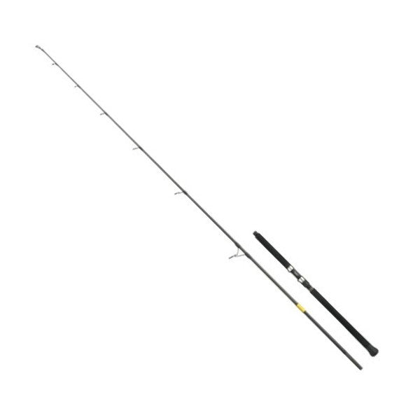 Apia Offshore Rod Grandage World Ocean 834ML (Spinning 2 piece / Grip Joint)