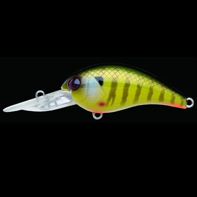 Nories Warming Crank Shot Full Size #309 Pearl Real Gill