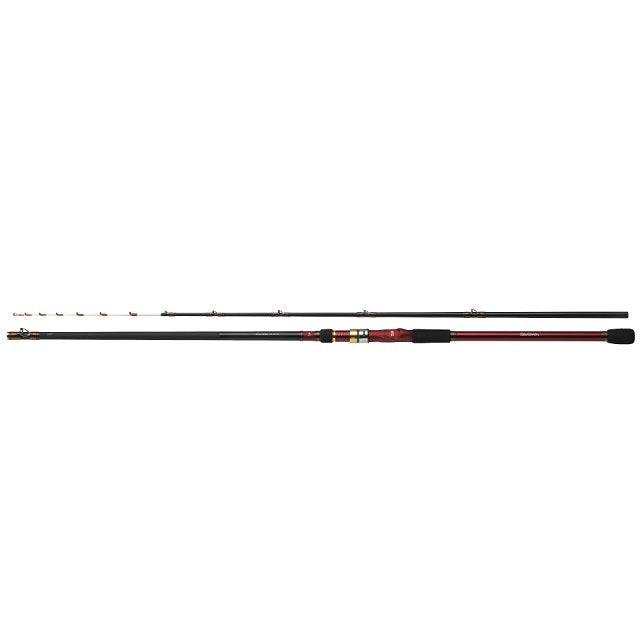 Daiwa Analystar Sumiika 210 (Baitcasting 2 Piece)