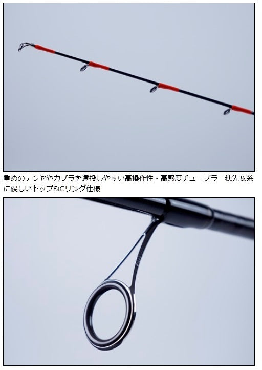 Daiwa Tenya Magochi X (Spinning 2 Piece)