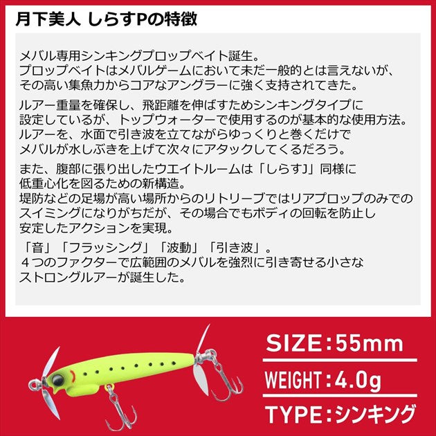 Daiwa Gekkabijiin Shirasu P 55S Gingira Chart Candy