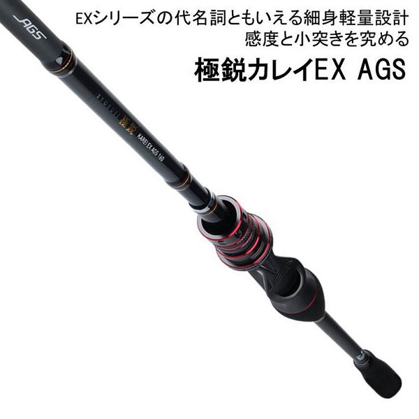 Daiwa Kyokuei Karei EX AGS 160 (Baitcasting 2 Piece)