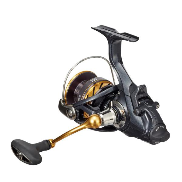 Daiwa 19 Aorimatic BR LT3000D