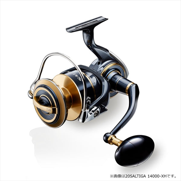 Daiwa 20 Saltiga 8000-P