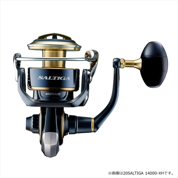 Daiwa 20 Saltiga 8000-P