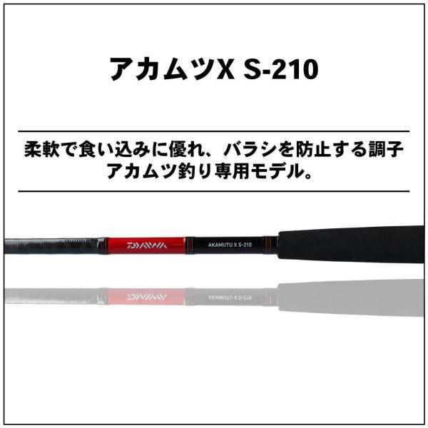 Daiwa Akamutsu XS-210 (Baitcasting 2 Piece)