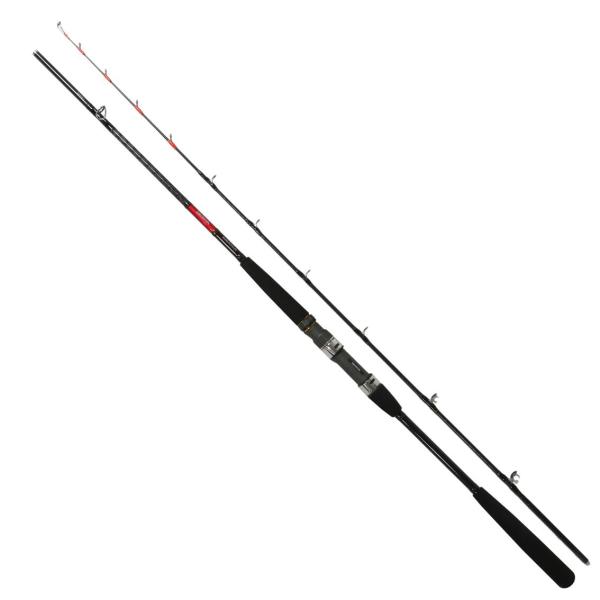 Daiwa Akamutsu XS-210 (Baitcasting 2 Piece)