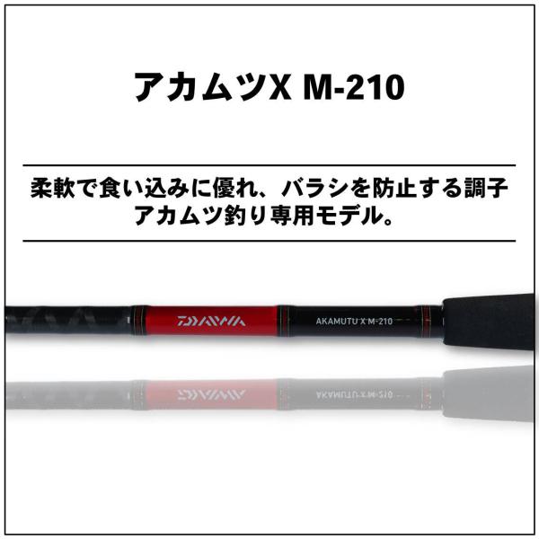 Daiwa Akamutsu X M-210 (Baitcasting 2 Piece)