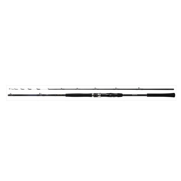 Daiwa Deeo TSG 100-170 (Baitcasting 2 Piece)