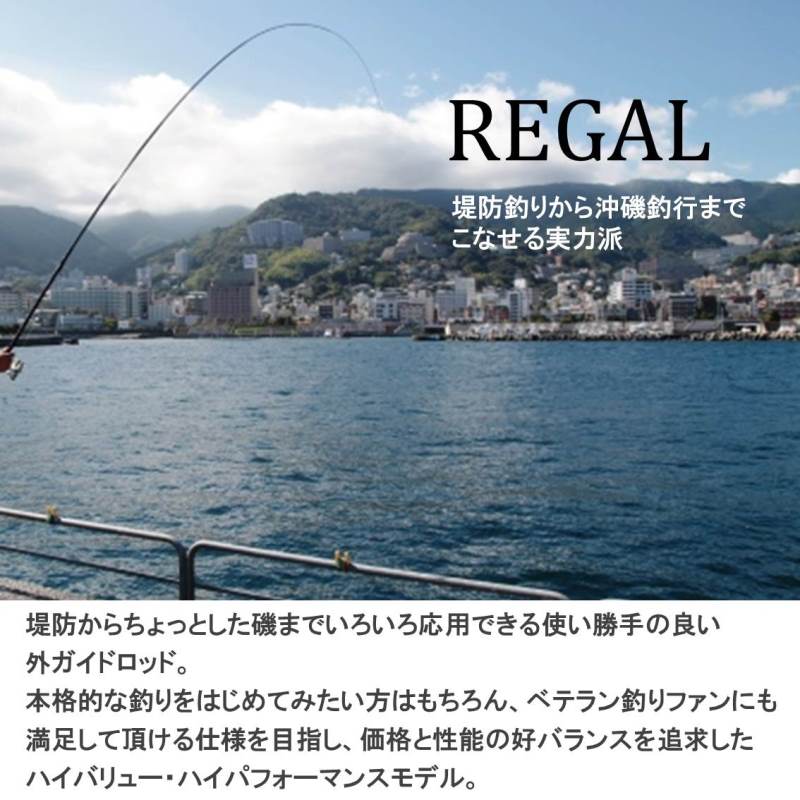 沖磯 3－53 ダイワ波濤3号53-55&沖磯3号5.4m遠投磯竿まとめて2